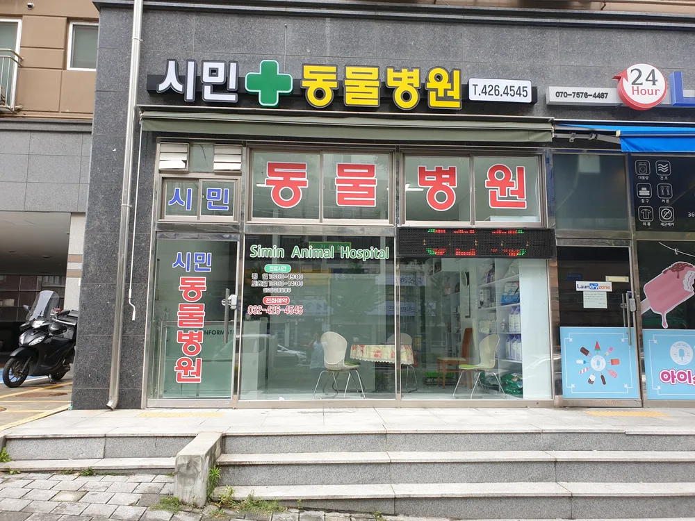시민동물병원 대표 이미지