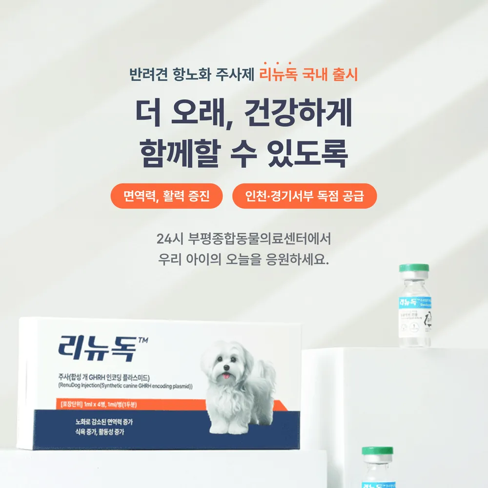 24시부평종합동물의료센터 대표 이미지
