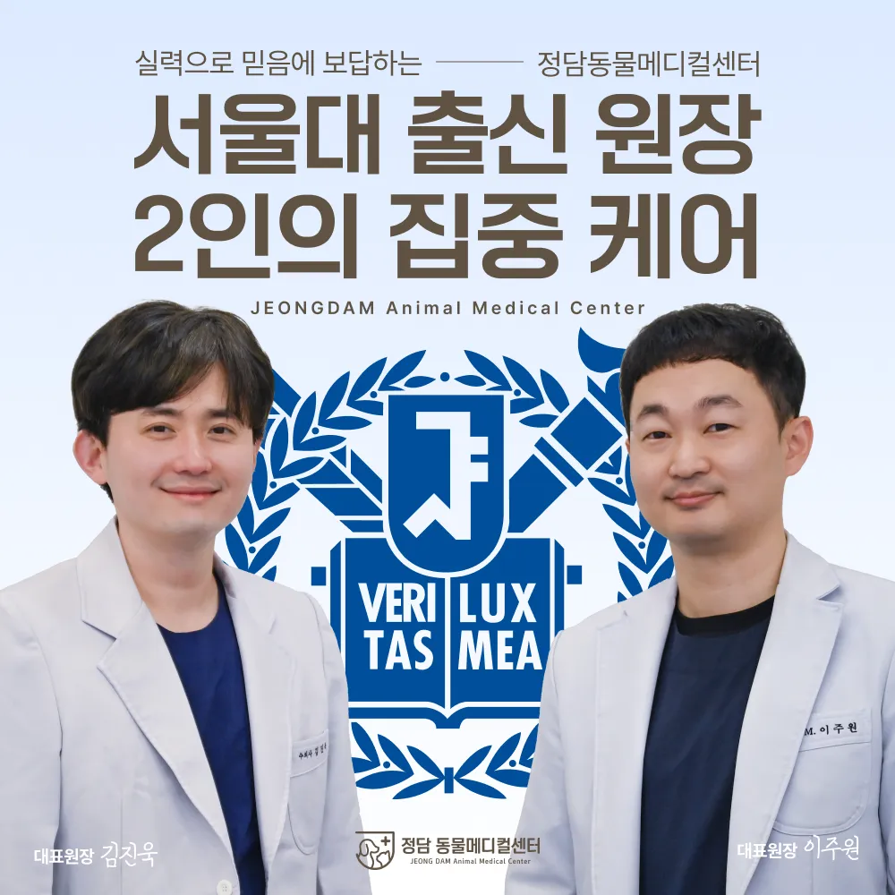 정담동물메디컬센터 대표 이미지