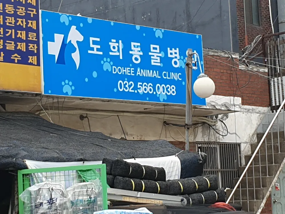 도희동물병원 대표 이미지