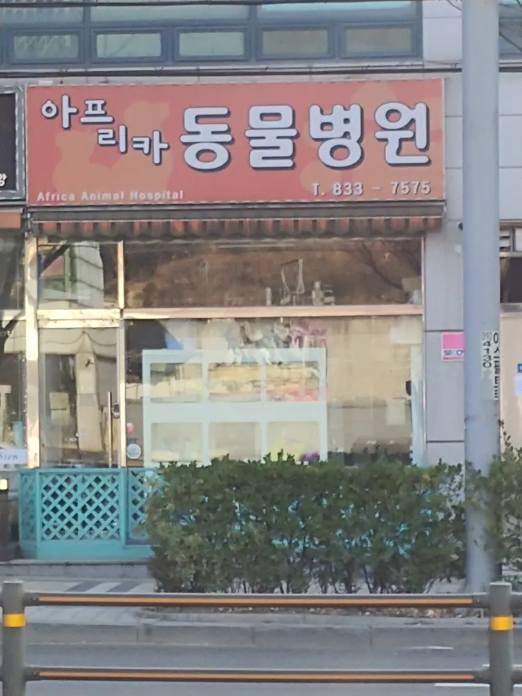 아프리카동물병원 대표 이미지