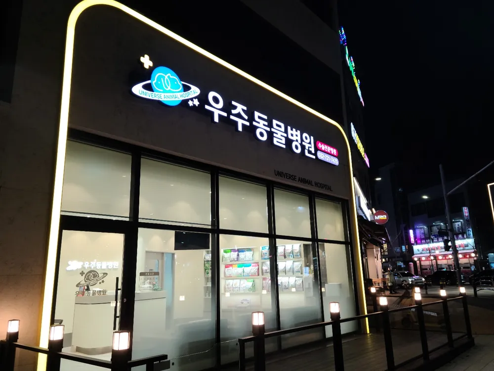 우주동물병원 대표 이미지
