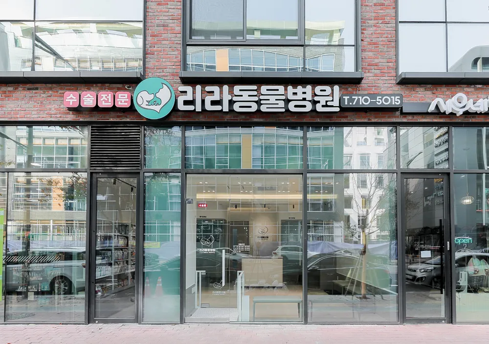 리라동물병원 대표 이미지
