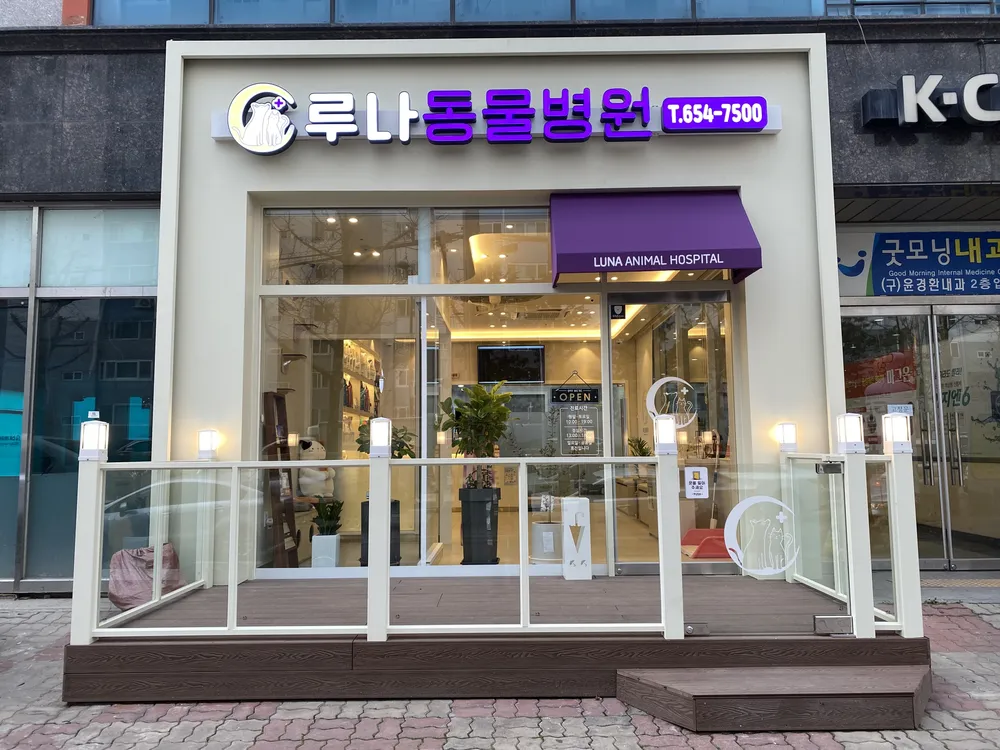 루나동물병원 대표 이미지