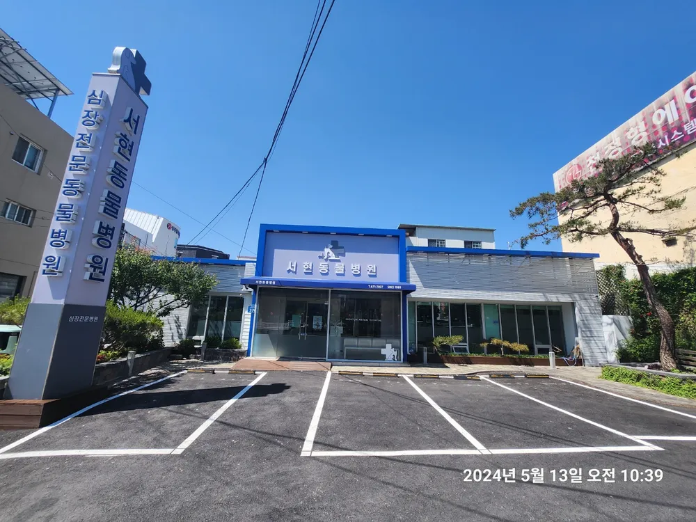 서현동물병원 대표 이미지