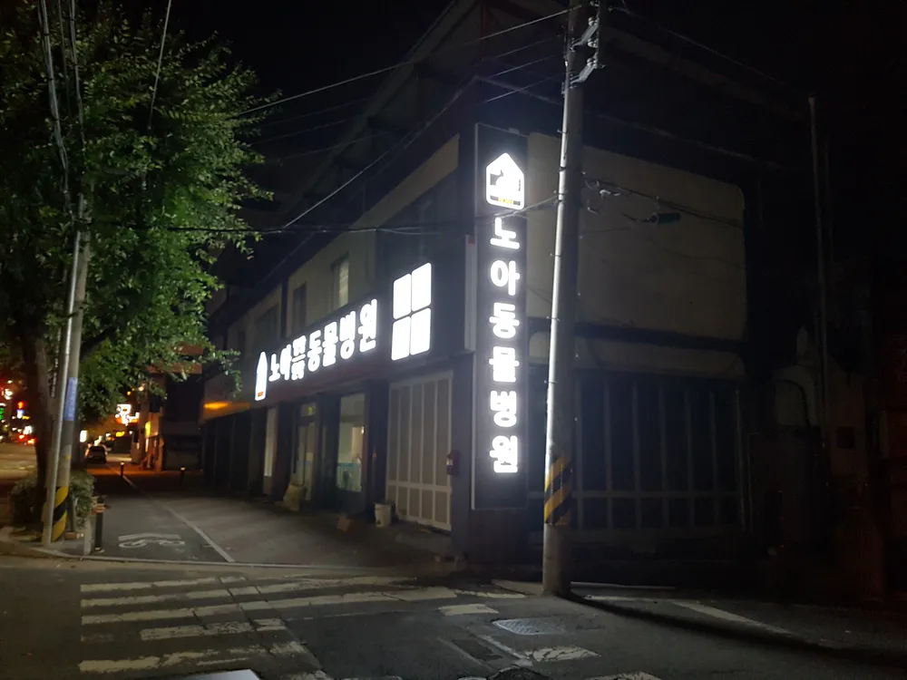 노아동물병원 대표 이미지