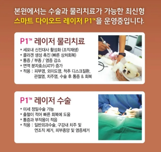 청담동물병원 대표 이미지