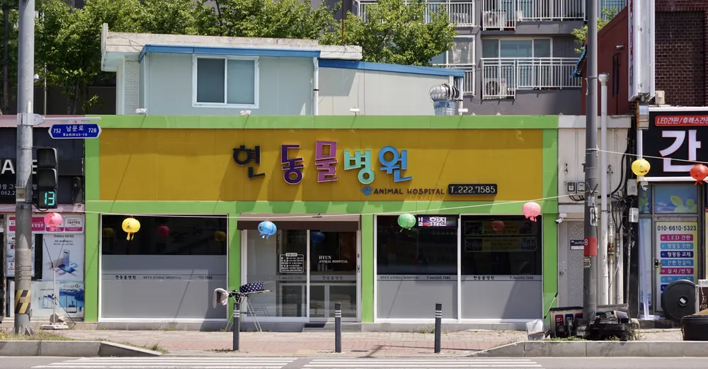 현동물병원 대표 이미지
