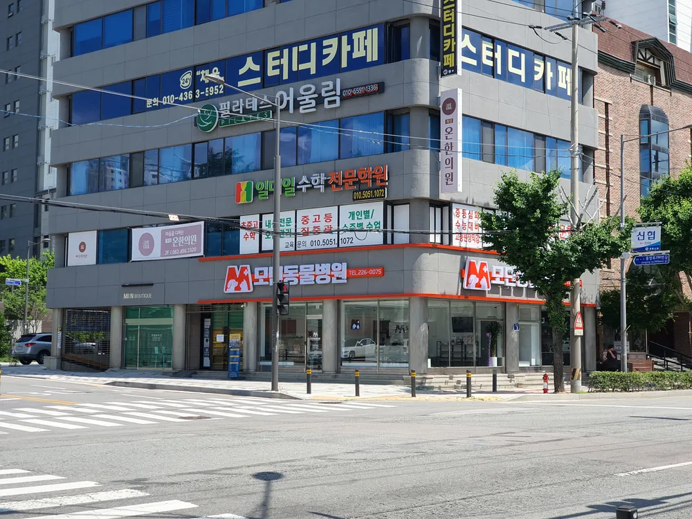 모던동물병원 대표 이미지