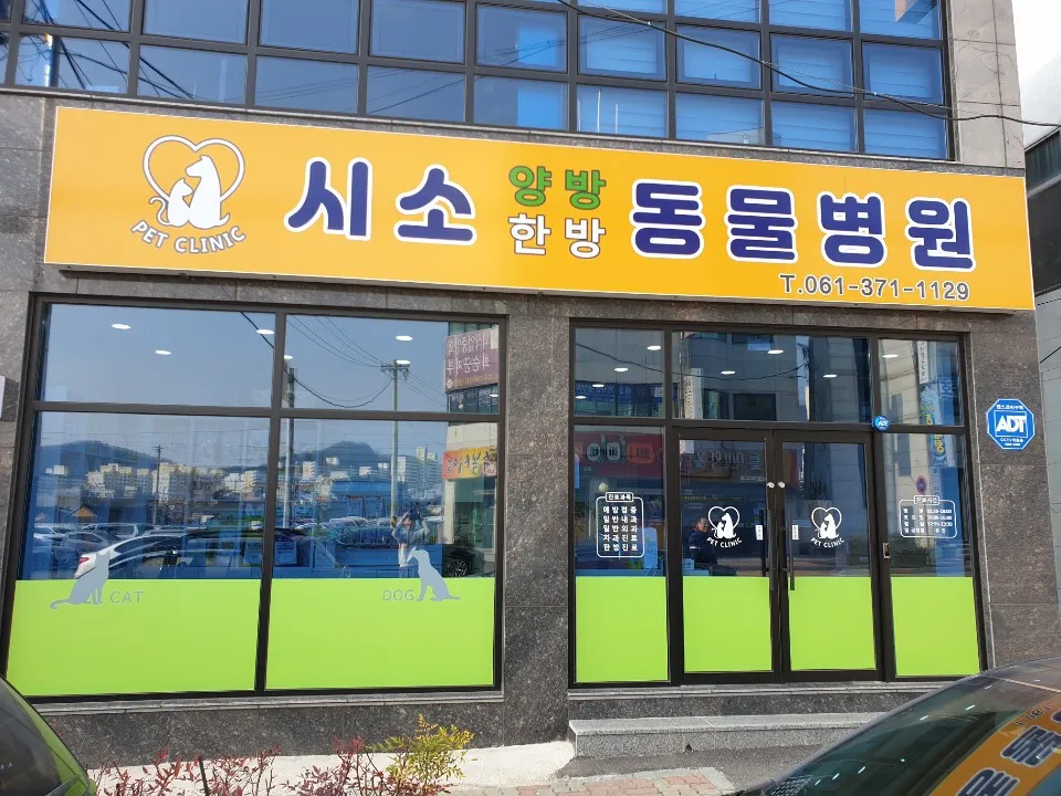 시소동물병원 대표 이미지