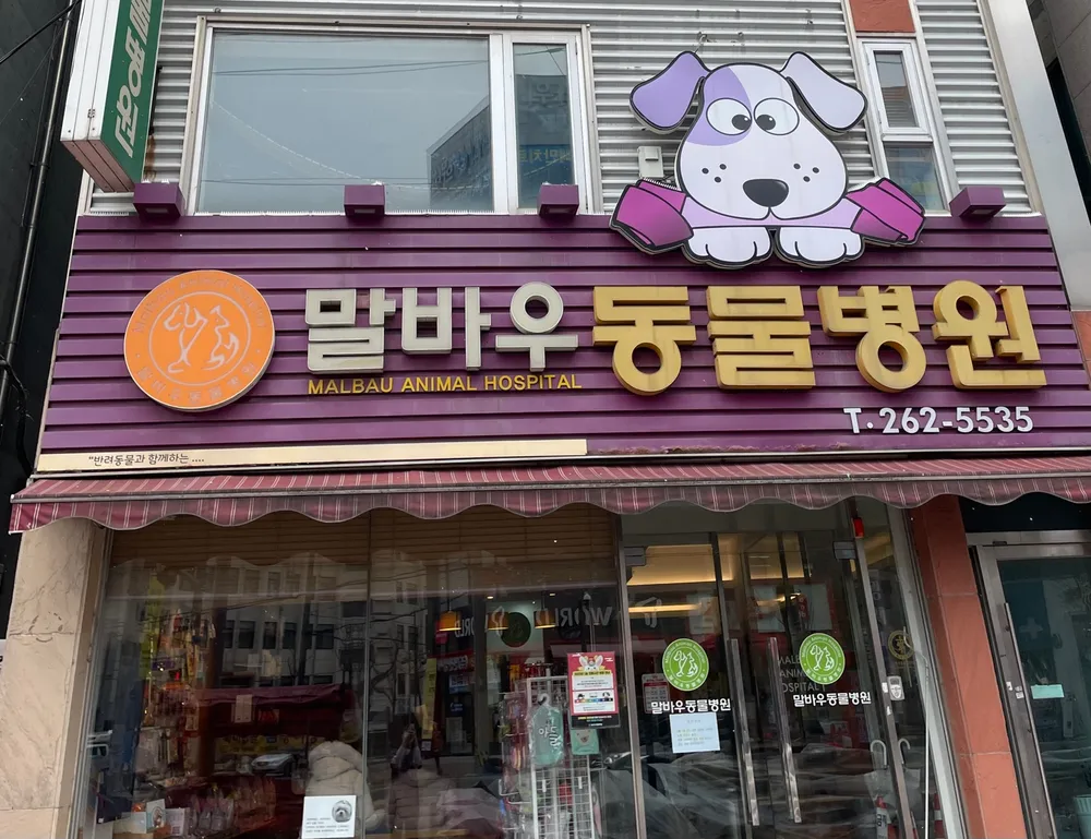 말바우동물병원 대표 이미지