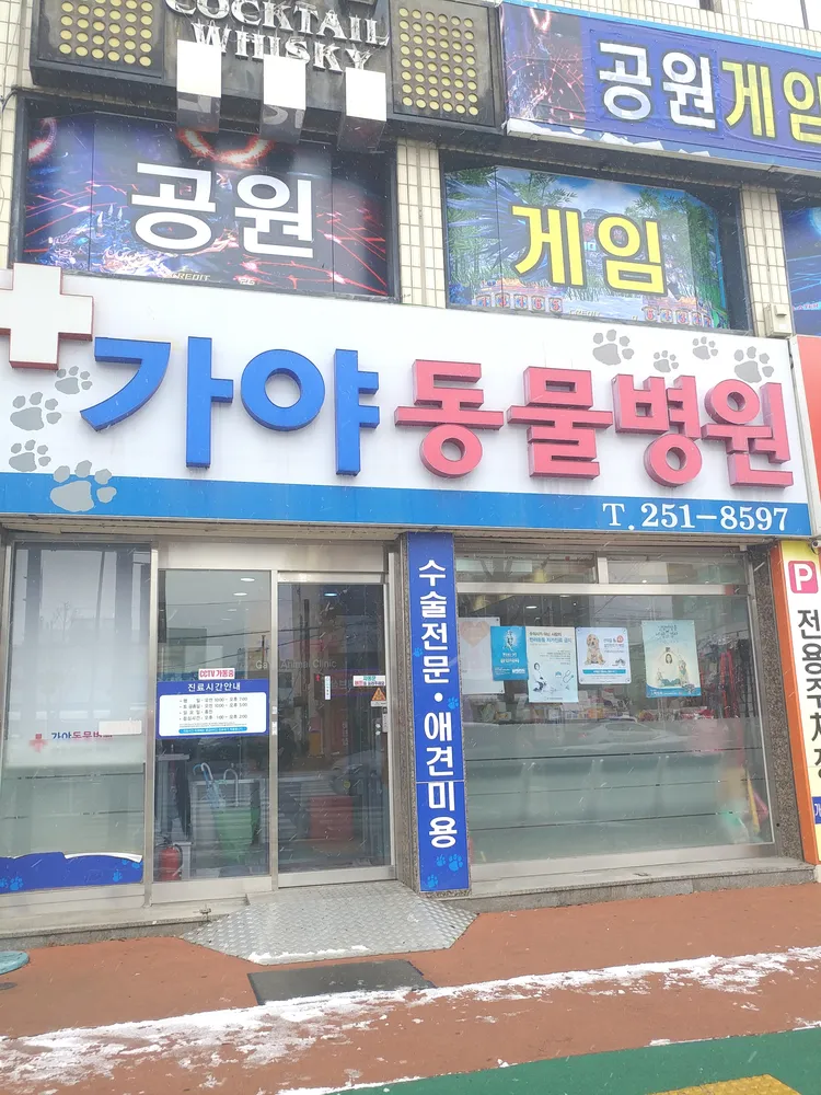 가야동물병원 대표 이미지