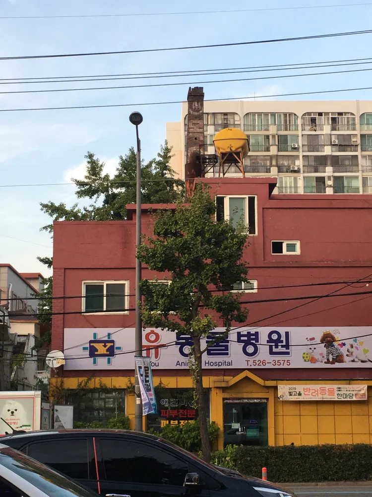 유동물병원 대표 이미지