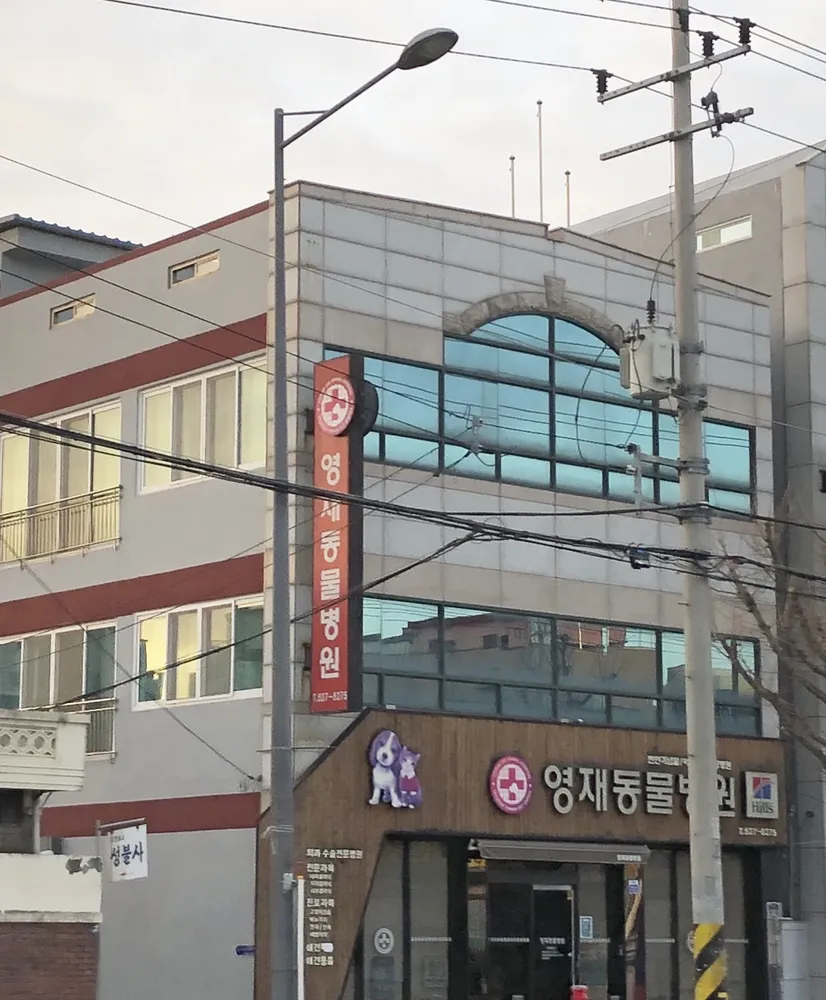영재애견병원 대표 이미지