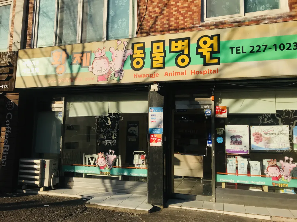 황제동물병원 대표 이미지
