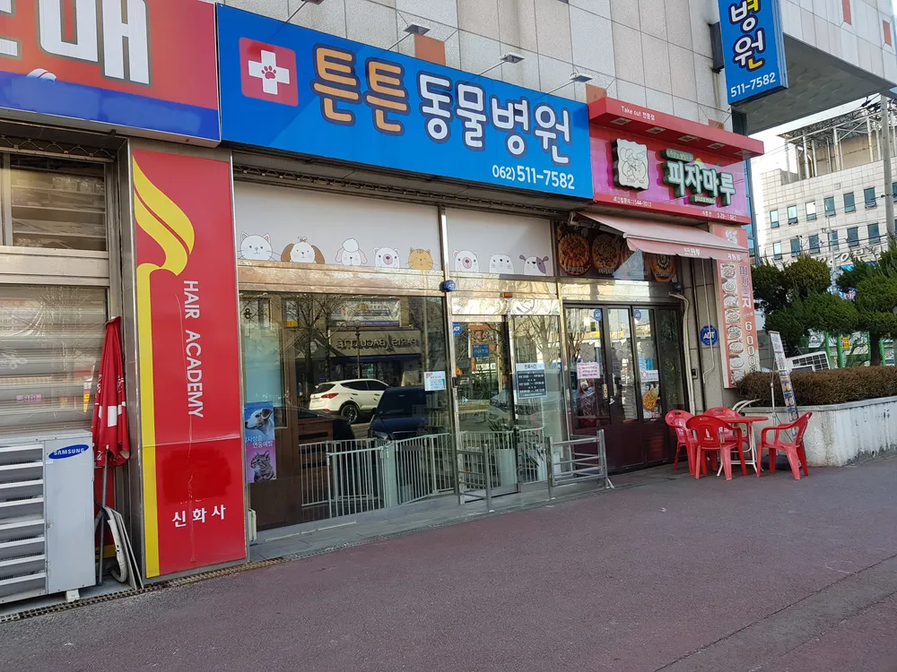 튼튼동물병원 대표 이미지