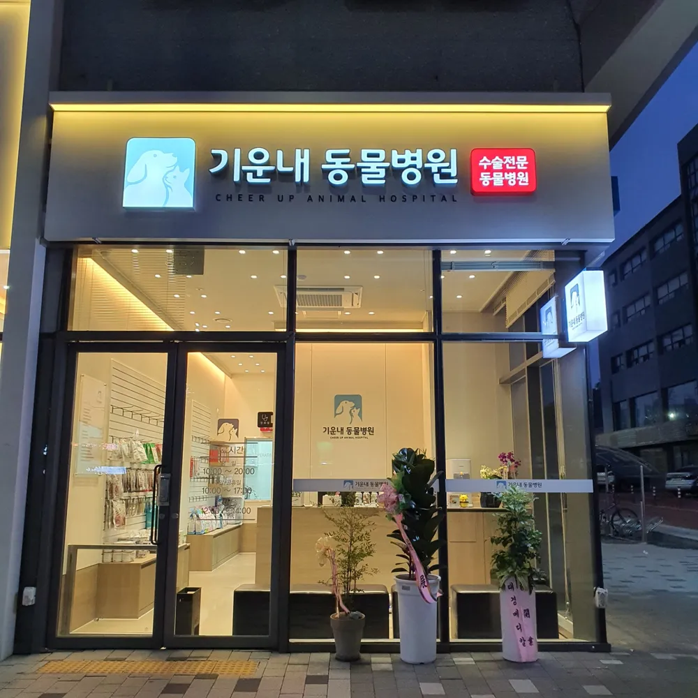 기운내동물병원 대표 이미지