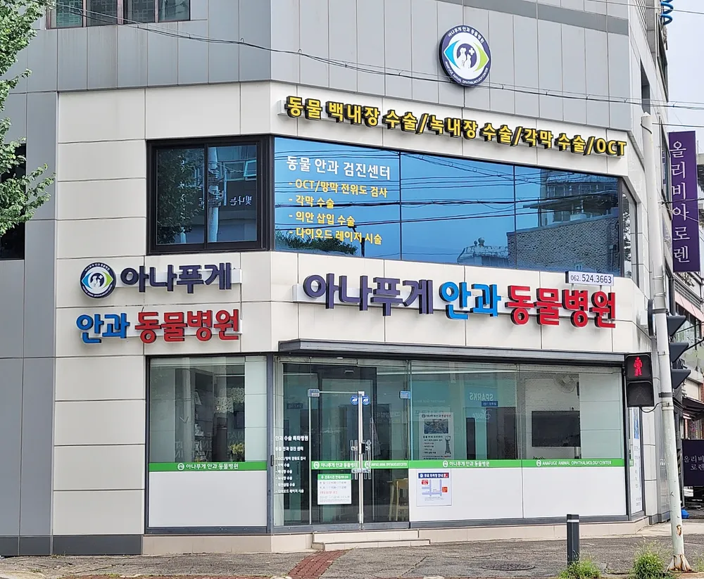 아나푸게안과동물병원 대표 이미지