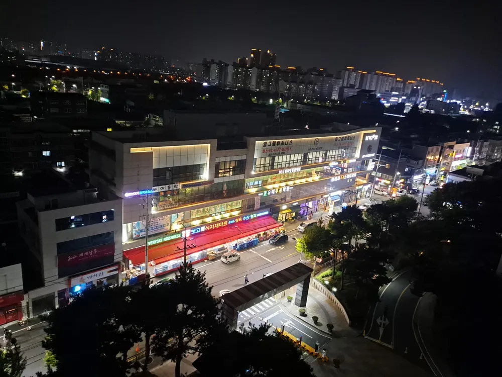 24시블루밍동물병원 대표 이미지