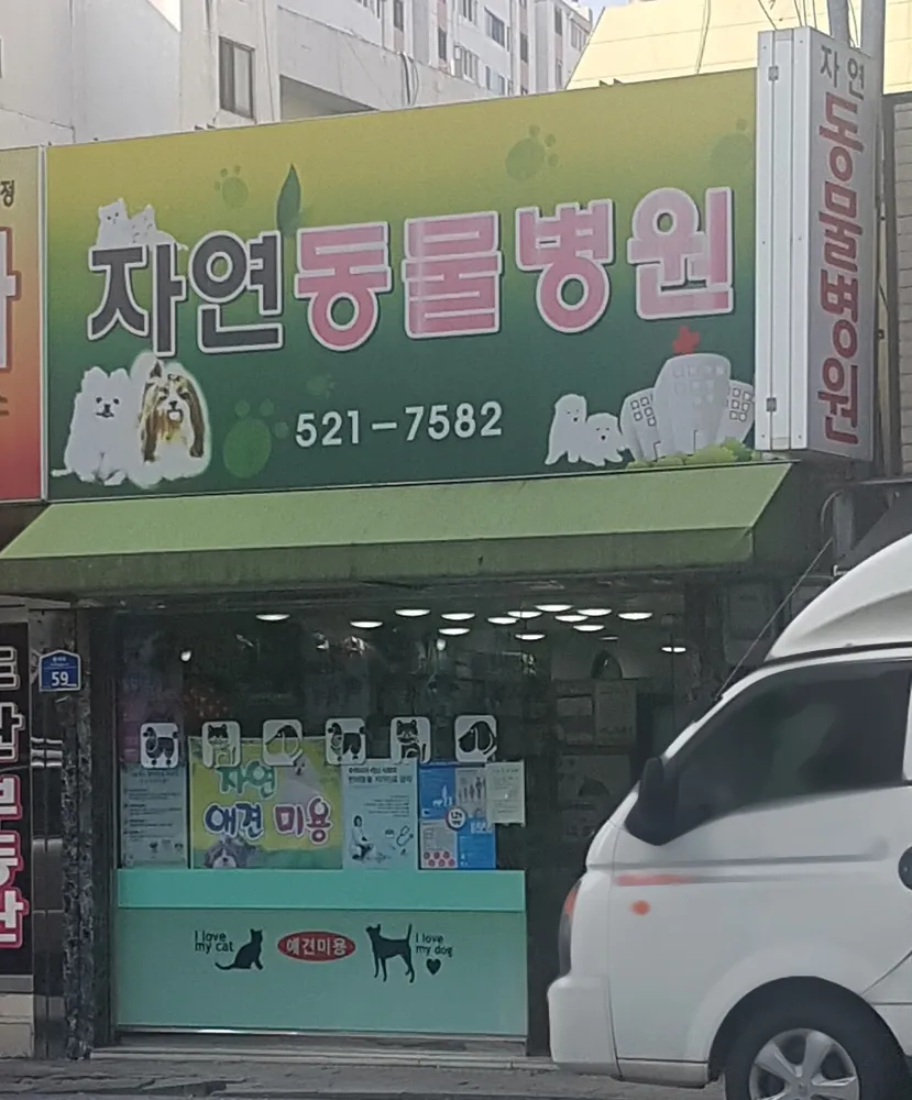 자연동물병원 대표 이미지