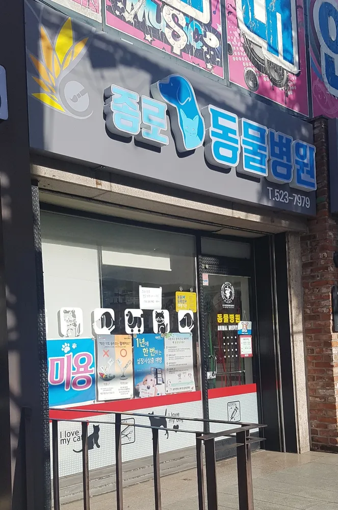 종로동물병원 대표 이미지