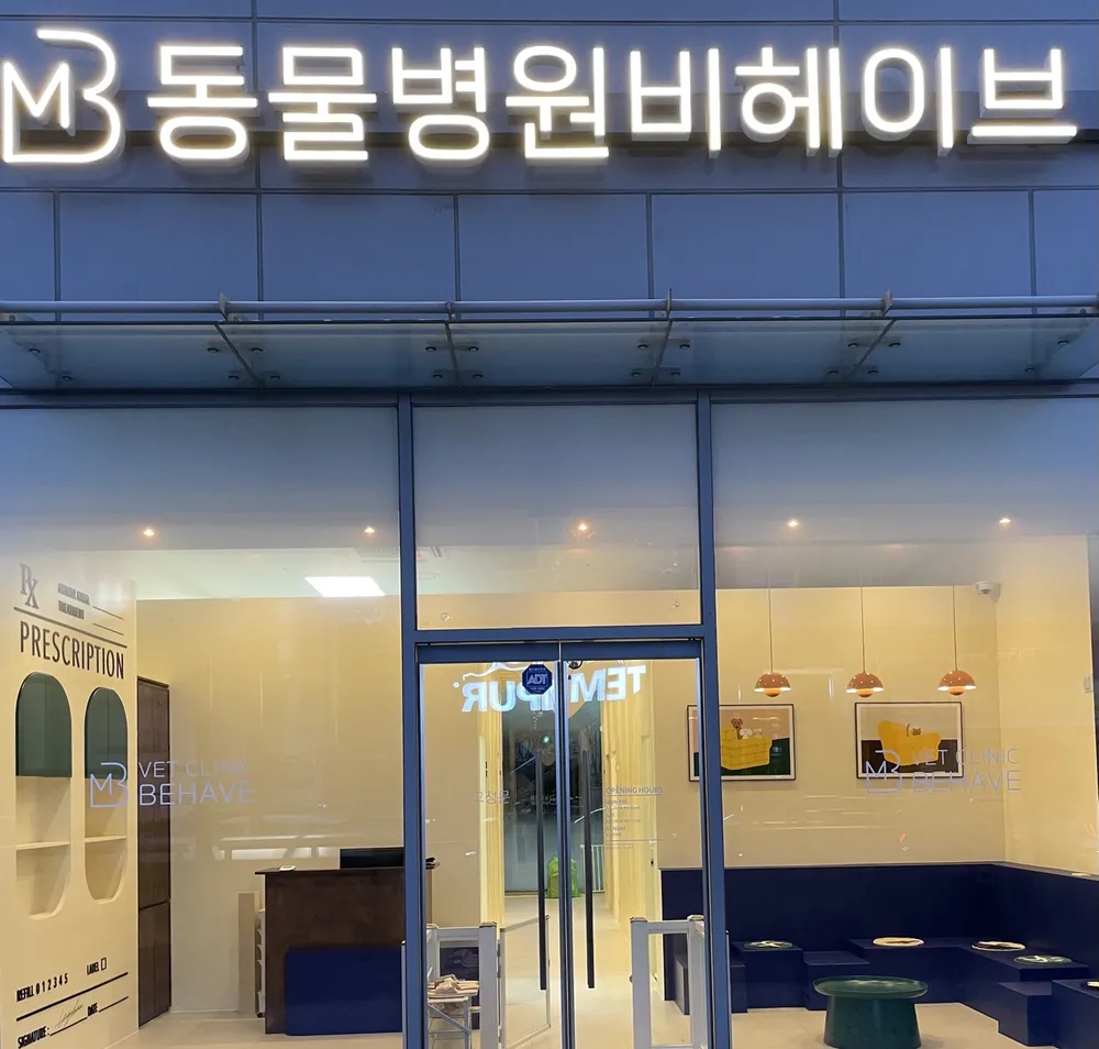 동물병원비헤이브 대표 이미지