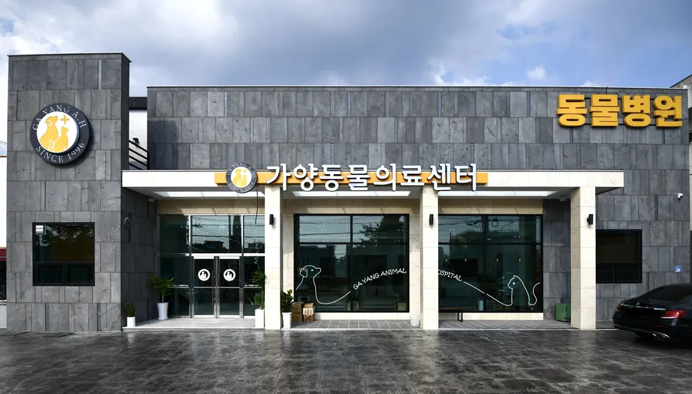 가양동물의료센터 대표 이미지