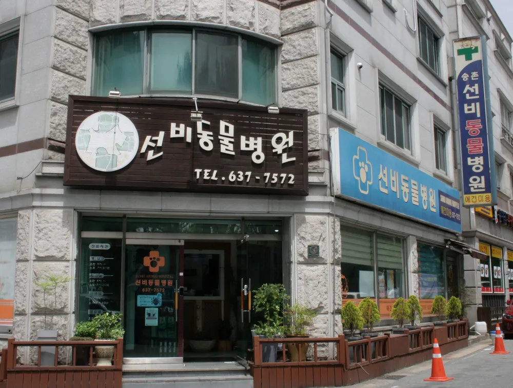 송촌선비동물병원 대표 이미지