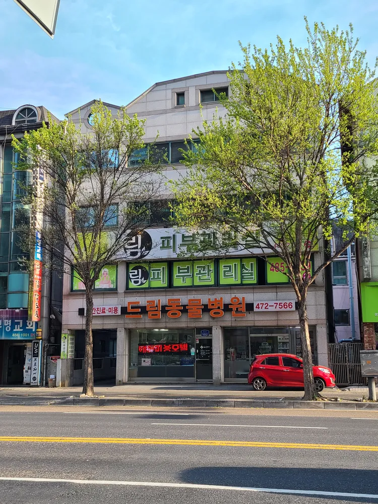 드림동물병원 대표 이미지