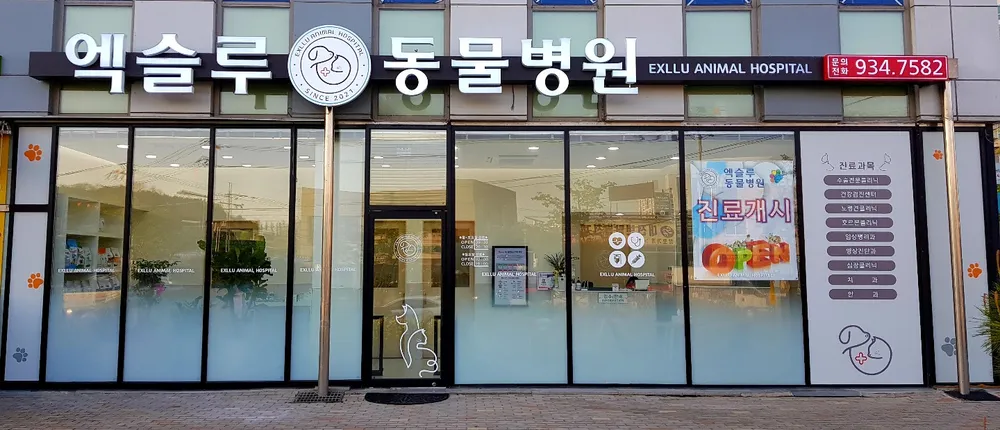 엑슬루동물병원 대표 이미지