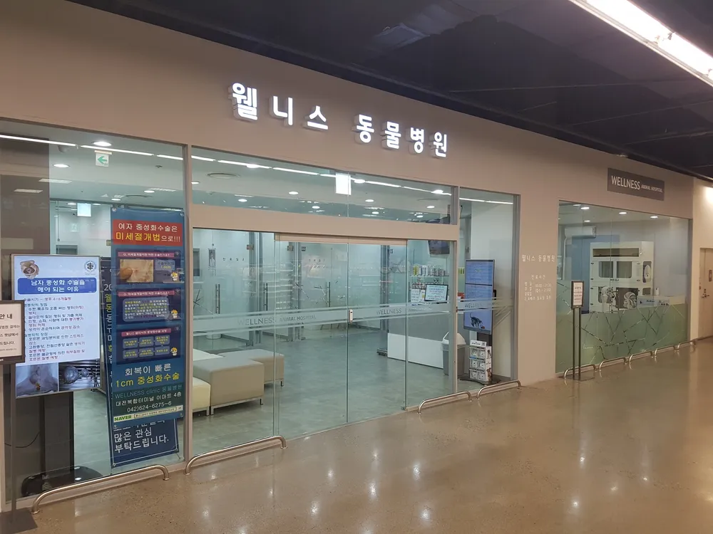 웰니스 동물병원 대전복합터미널 대표 이미지