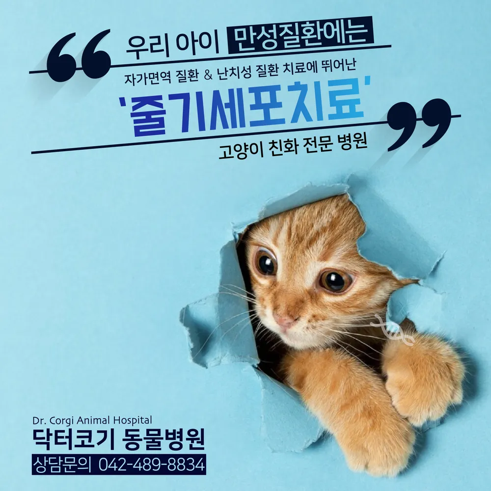닥터코기동물병원 대표 이미지