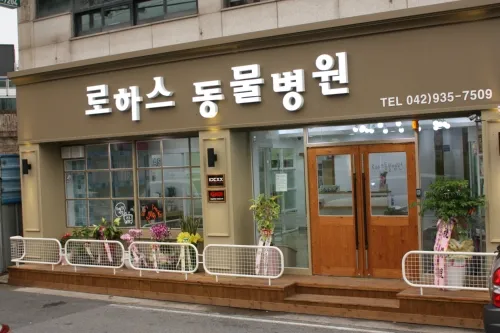 로하스동물병원 대표 이미지