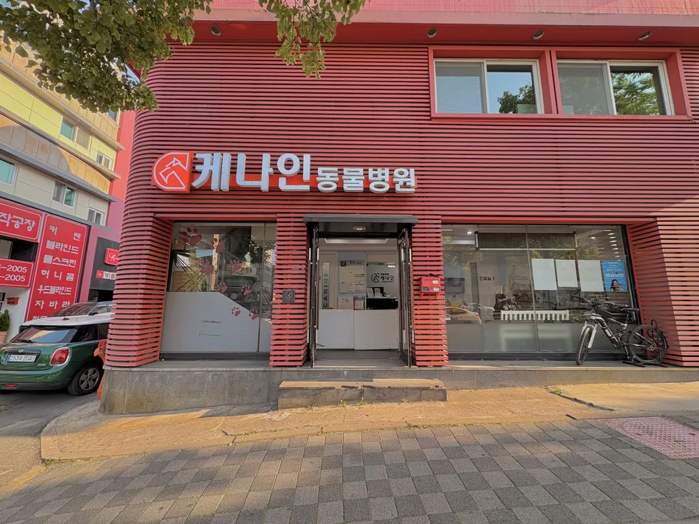 케나인동물병원 대표 이미지