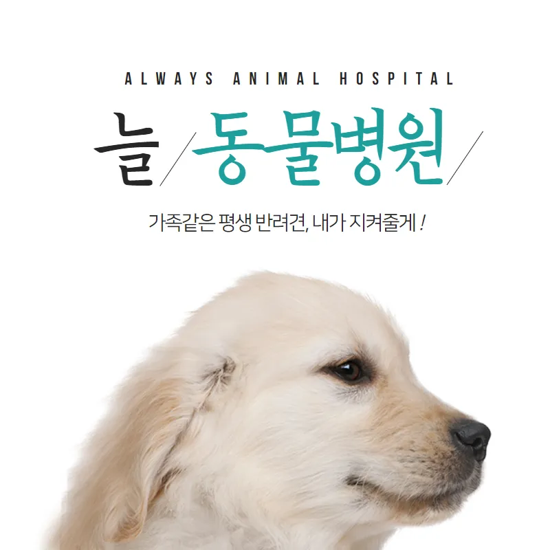 늘동물병원 대표 이미지