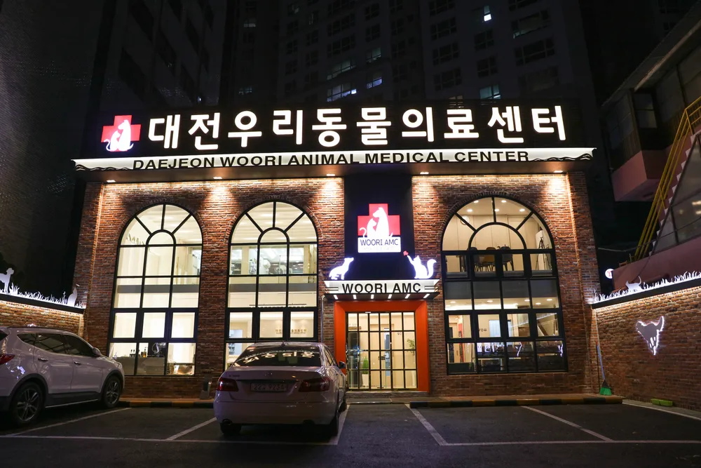 대전우리동물의료센터 대표 이미지
