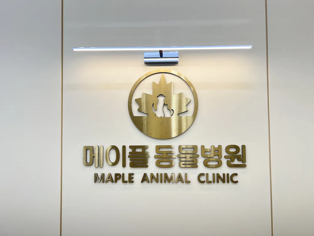 메이플동물병원 대표 이미지