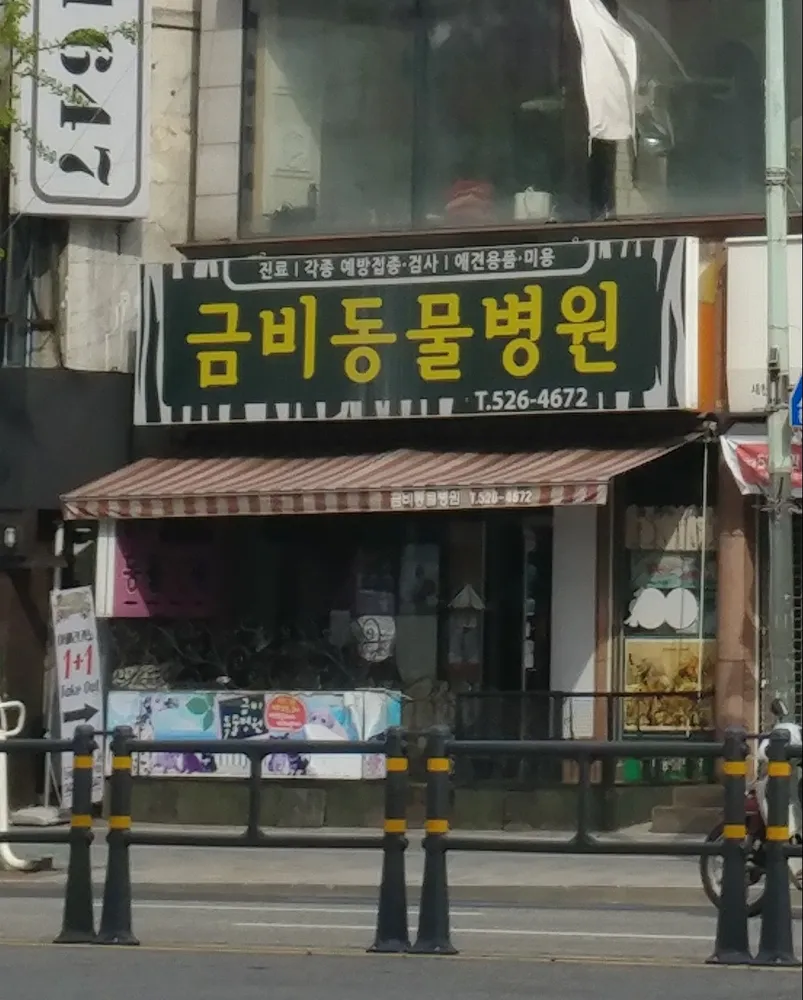 금비동물병원 대표 이미지