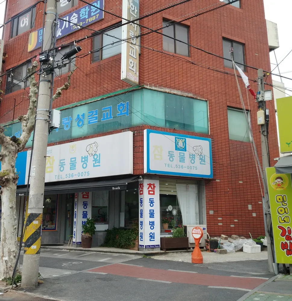 참동물병원 대표 이미지