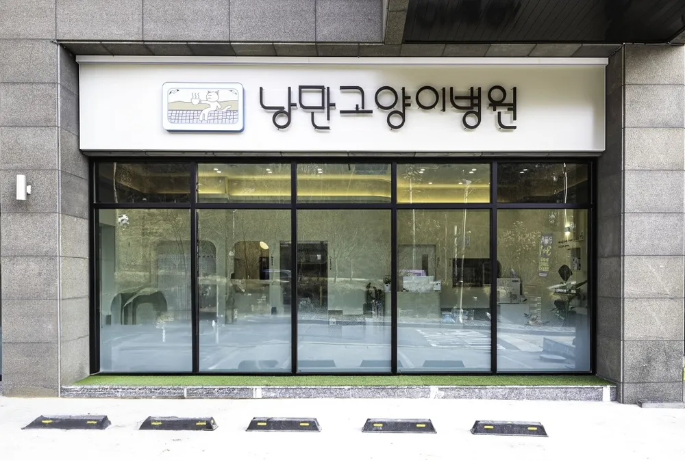 낭만고양이병원 대표 이미지