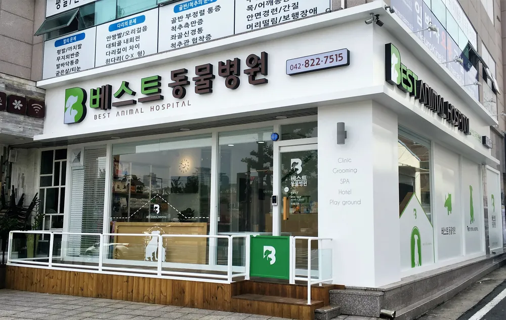 베스트동물병원 대표 이미지