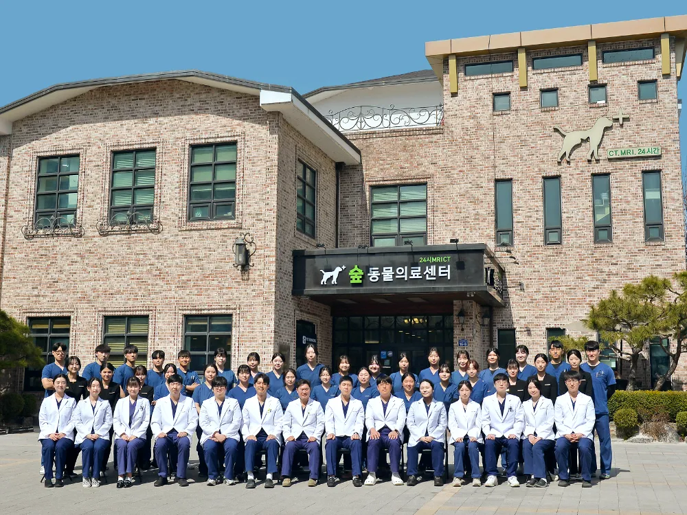 숲 동물의료센터 대표 이미지