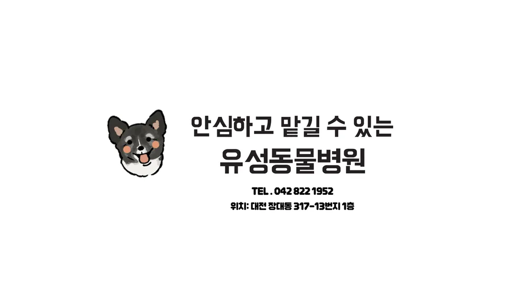 유성동물병원 대표 이미지
