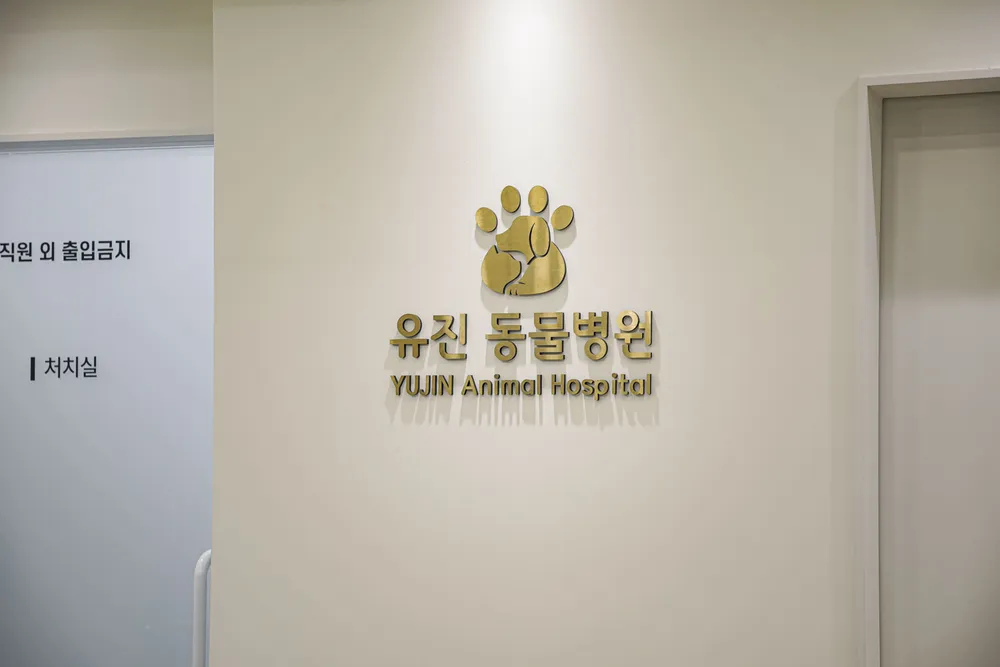유진동물병원 대표 이미지