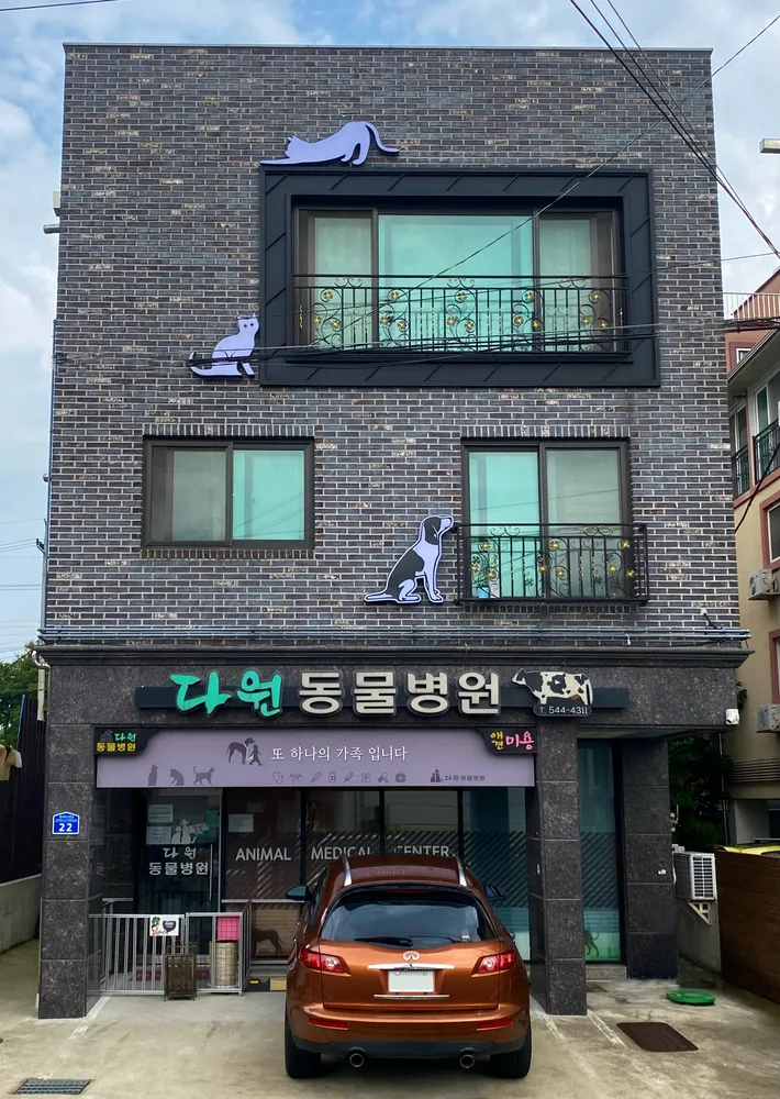 다원동물병원 대표 이미지