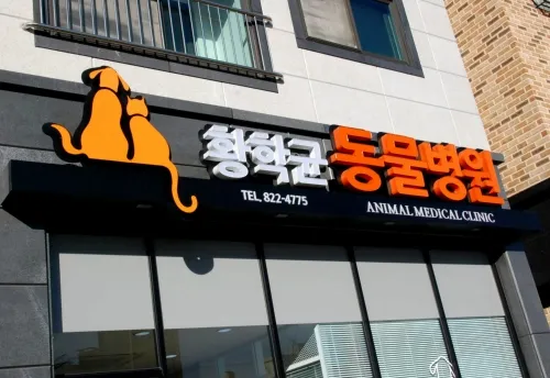 황학균동물병원 대표 이미지