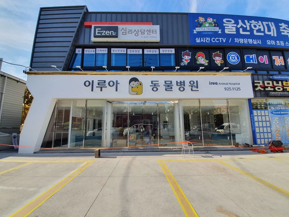 이루아동물병원 대표 이미지