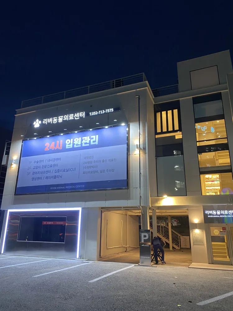 리버동물의료센터 대표 이미지