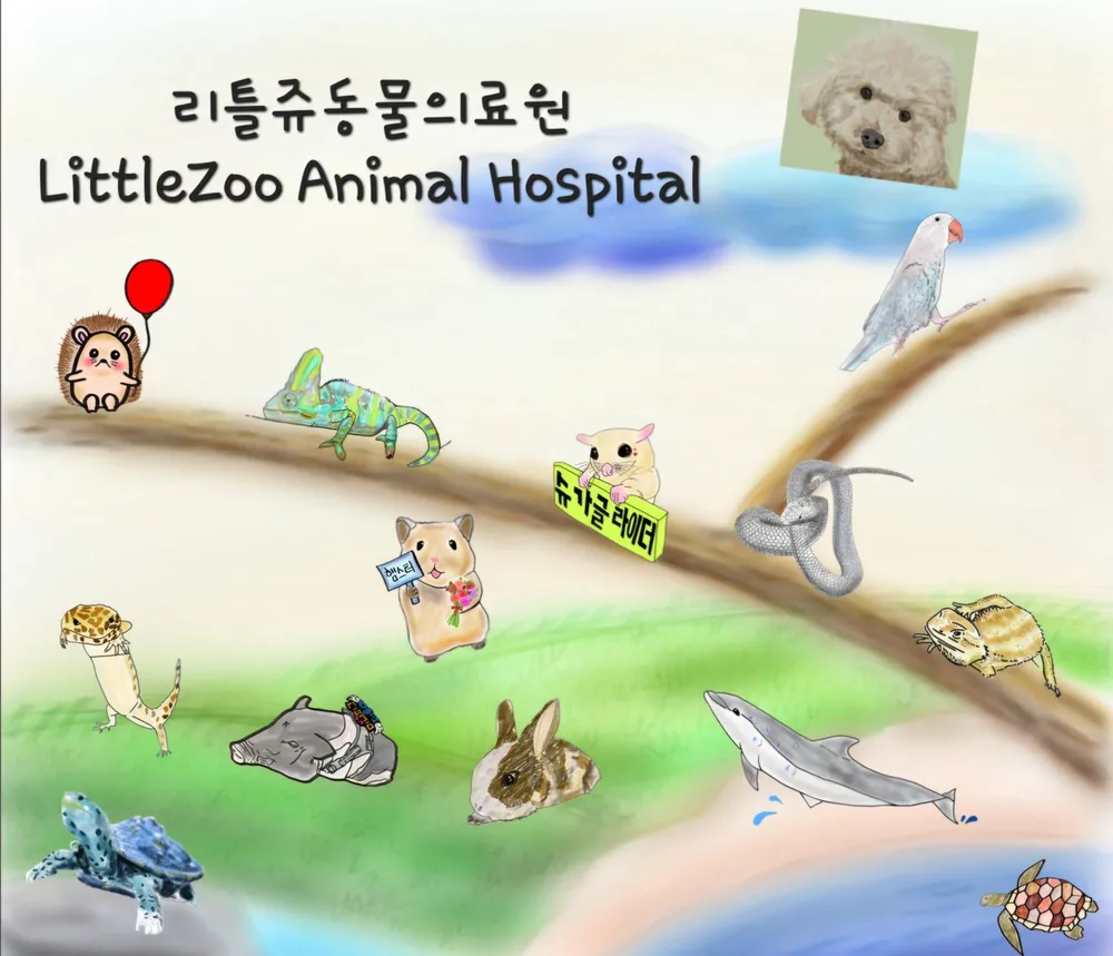 리틀쥬동물병원 대표 이미지