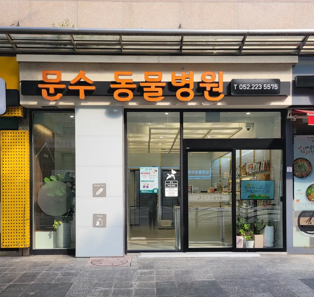 문수동물병원 대표 이미지